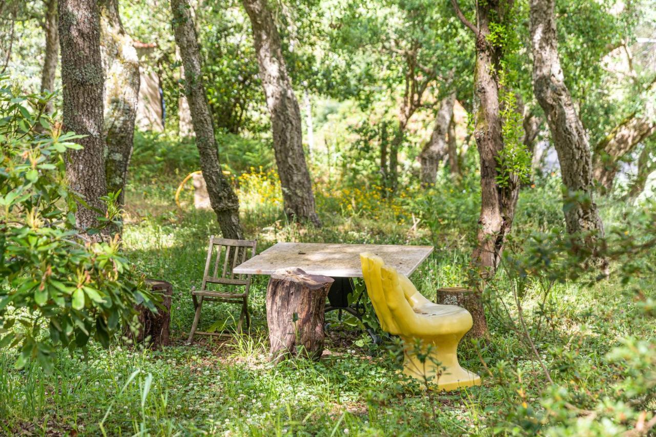 Quinta Biologica, Com Vista, Na Serra De Сінтра Екстер'єр фото