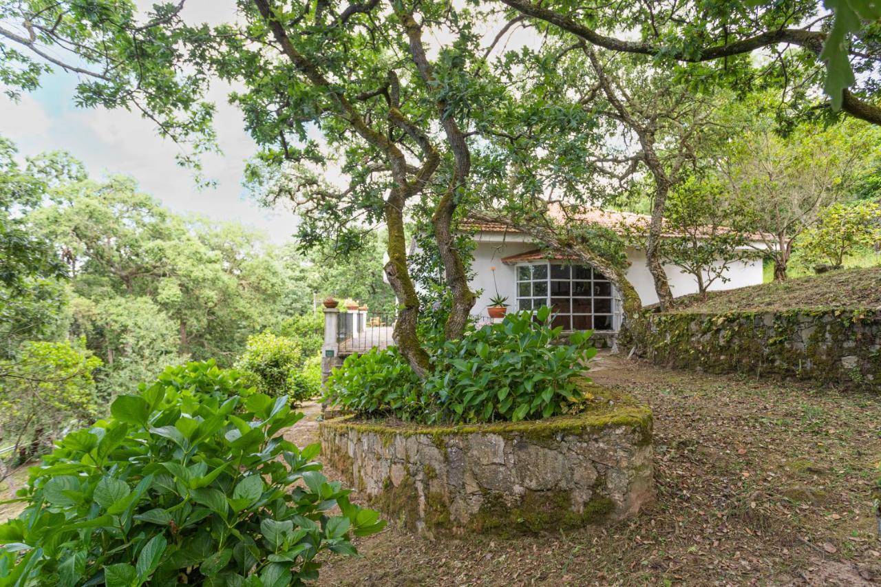 Quinta Biologica, Com Vista, Na Serra De Сінтра Екстер'єр фото