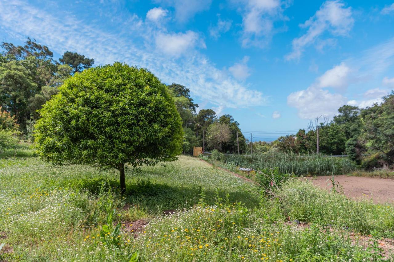Quinta Biologica, Com Vista, Na Serra De Сінтра Екстер'єр фото