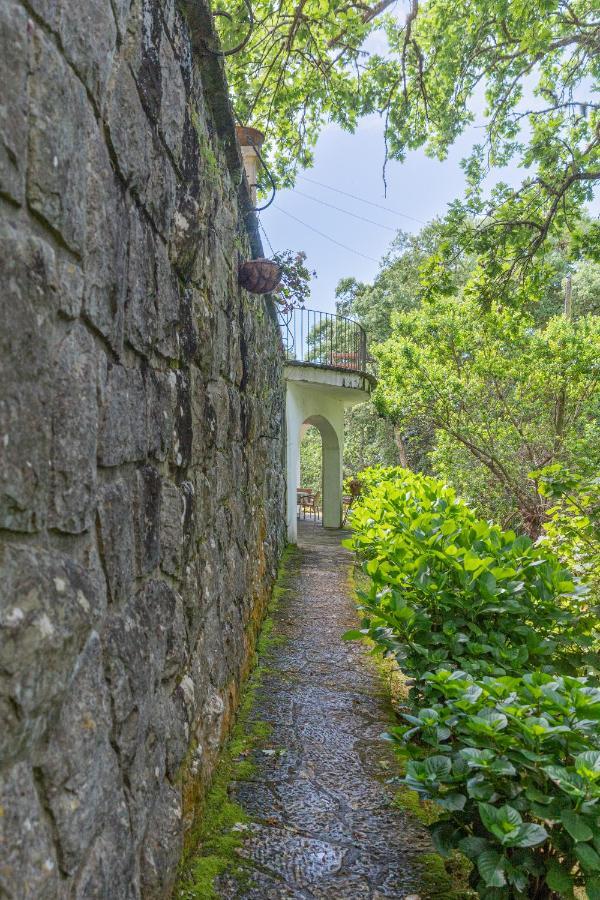 Quinta Biologica, Com Vista, Na Serra De Сінтра Екстер'єр фото